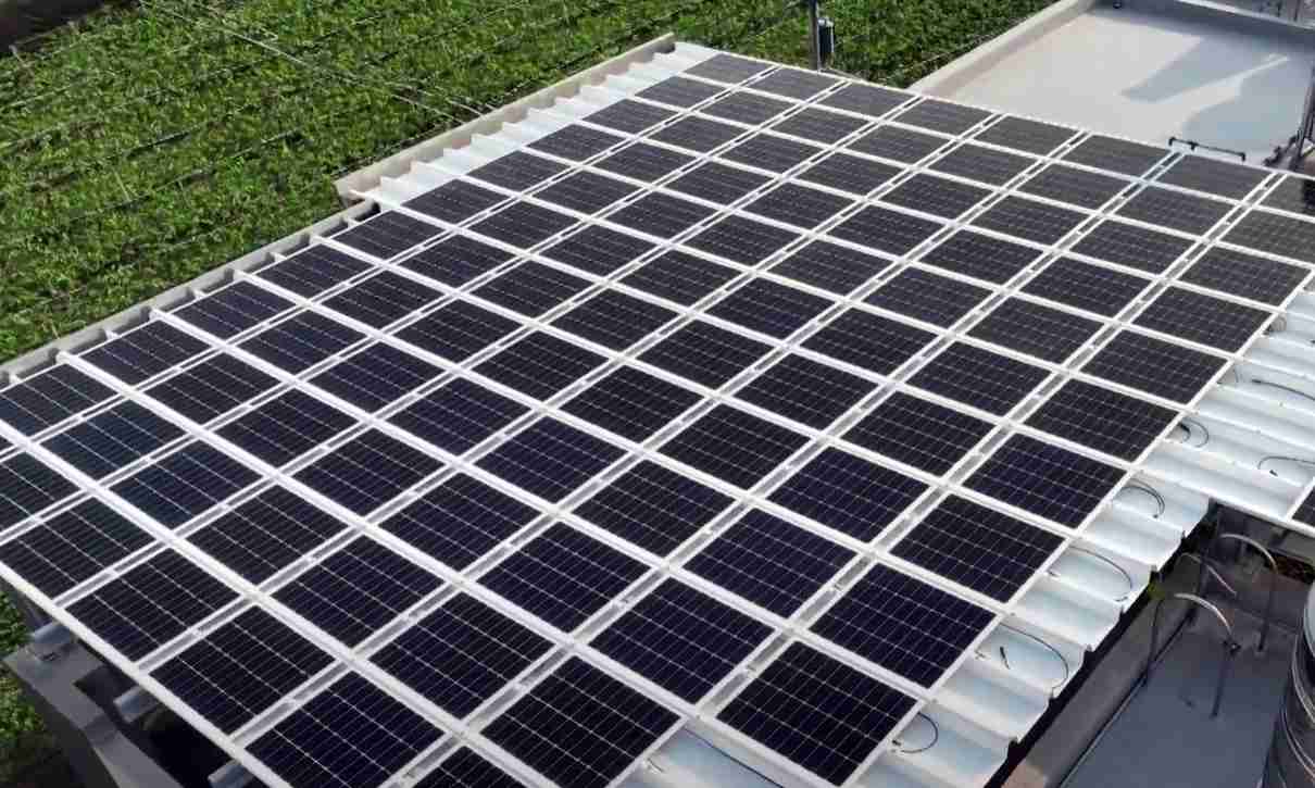 优游UB8SunSteel光电浪板升级双玻结构，，，，以提升机械负载强度及气候耐候度，，，可广泛运用于多元场域